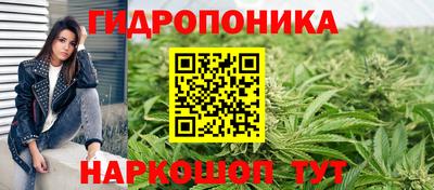амф Краснодар