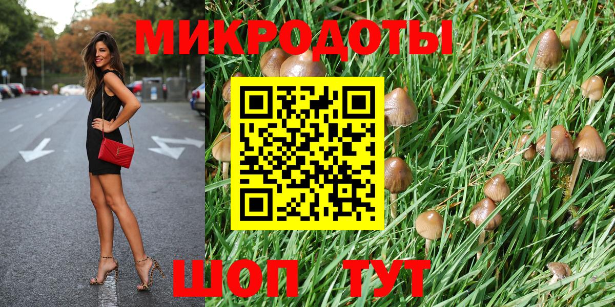 Кемерово  где найти наркотики  Вход с VPN  Галлюциногенные грибы прущие грибы 